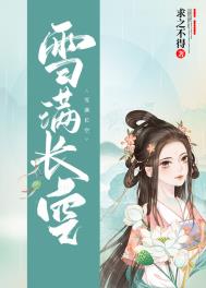 雪满长安小说原著