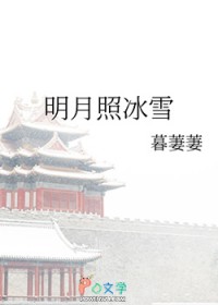 明月照冰雪